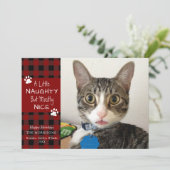 Pet Cat Naughty Nice Red Black Plaid Feestdagenkaart (Staand voorkant)