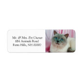 Pet Cat Return Address Labkers Etiket (Voorkant)