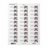 Pet Cat Return Address Labkers Etiket (Full Sheet)