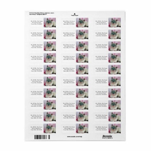 Pet Cat Return Address Labkers Etiket (Full Sheet)