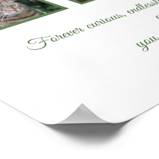  Pet Celebration Poster (Hoek)