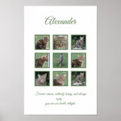  Pet Celebration Poster (Voorkant)