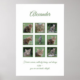  Pet Celebration Poster