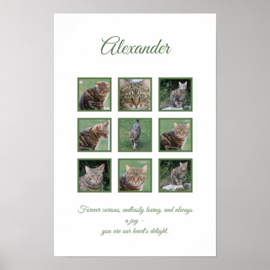 Pet Celebration Poster (Voorkant)