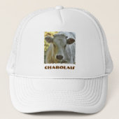 Pet Charolais (Voorkant)