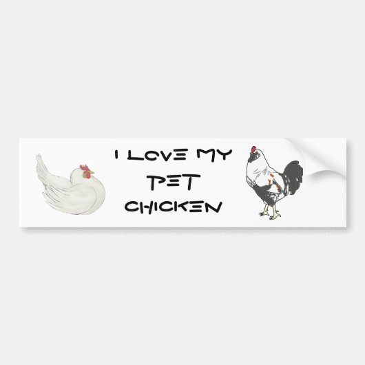 Pet Chicken Bumpersticker (Voorkant)