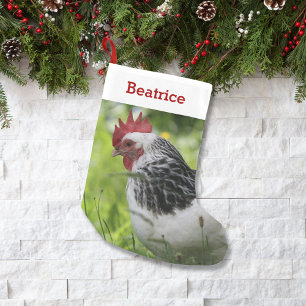 Pet Chicken Lover Foto en Naam Gepersonaliseerd Kleine Kerstsok