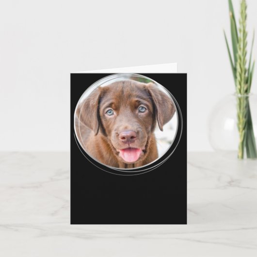 Pet Christmas D Dog Photo Holiday T Shirt  Kaart (Voorkant)