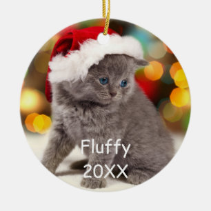 Pet Circle Keramische Versiering Keramisch Ornament