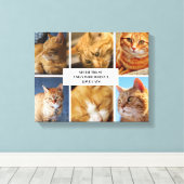 Pet Collage Foto Moderne Kat Quote Canvas (Insitu (Houten vloer))