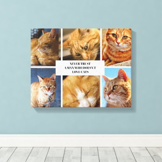 Pet Collage Foto Moderne Kat Quote Canvas (Insitu (Houten vloer))