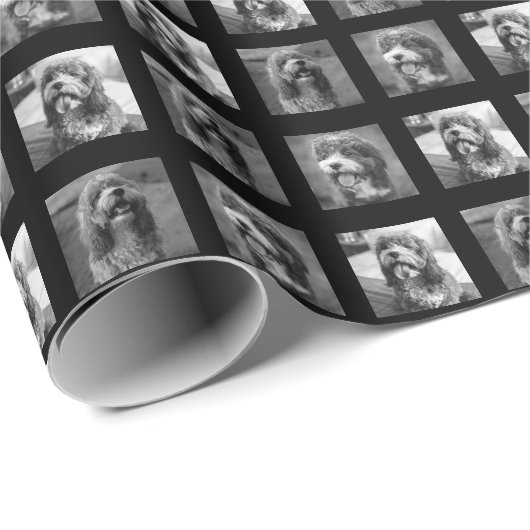 Pet collage zwart-wit cadeaupapier (Rol Hoek)