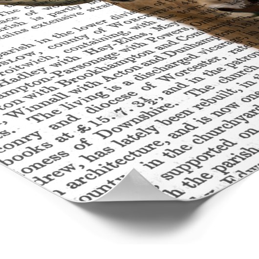 Pet Collector Deer Poster (Hoek)