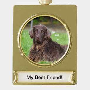 Pet Custom Banner Ornament - Gold Tone Verguld Banner Ornament
