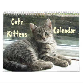 Pet Cute Kitten Cat Peace Love Destiny Kalender