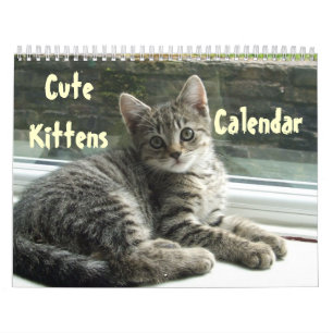 Pet Cute Kitten Cat Peace Love Destiny Kalender