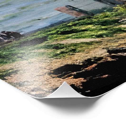 Pet d'Antibes Foto Afdruk (Hoek)