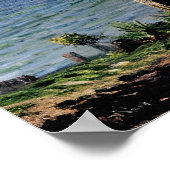 Pet d'Antibes Poster (Hoek)