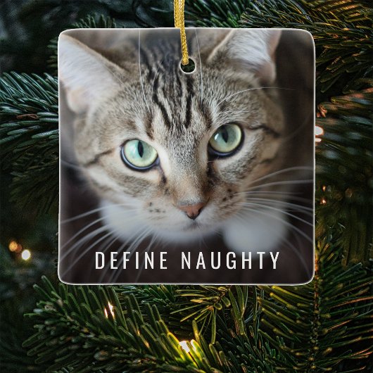 Pet Definieer ondeugend | Foto Kerstboom Keramisch Ornament