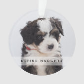Pet Definieer ondeugend | Foto Kerstboom Ornament (voorkant)