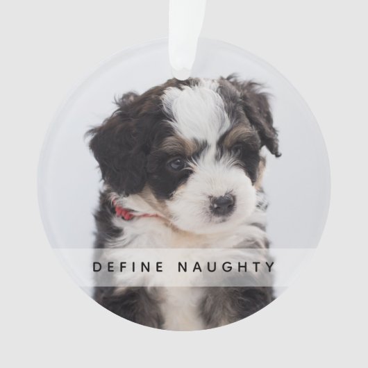 Pet Definieer ondeugend | Foto Kerstboom Ornament (voorkant)