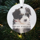 Pet Definieer ondeugend | Foto Kerstboom Ornament