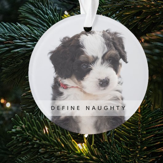 Pet Definieer ondeugend | Foto Kerstboom Ornament