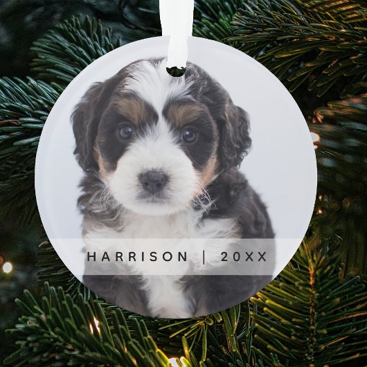 Pet Definieer ondeugend | Foto Kerstboom Ornament