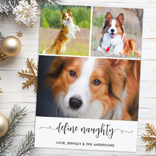 Pet Definieer Ondeugende Hond Foto Collage Kerstmi Feestdagenkaart