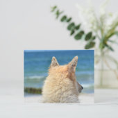 Pet Dog bij strand | Zee Zand Surf Briefkaart (Staand voorkant)