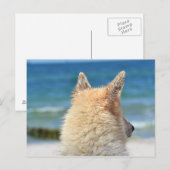 Pet Dog bij strand | Zee Zand Surf Briefkaart (Voorkant / Achterkant)