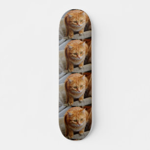 Pet Dog Cat Foto op maat gesneden Sjabloon Persoonlijk Skateboard