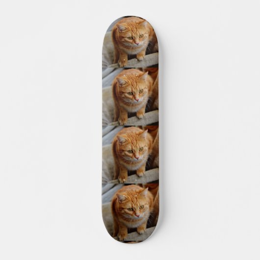 Pet Dog Cat Foto op maat gesneden Sjabloon Persoonlijk Skateboard (Voorkant)