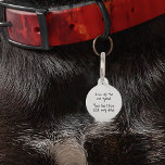 Pet Dog Cat Funny Humor past ID Lost aan Huisdierpenning<br><div class="desc">Dit ontwerp is gemaakt door middel van digitale kunst. Het kan worden aangepast in het gebied dat wordt aangeboden of aangepast door de klik te kiezen om de andere optie aan te passen en de naam, initialen of woorden te wijzigen. U kunt de tekstkleur en de stijl ook veranderen of...</div>