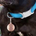 Pet Dog Cat Funny Humor  Roos Gold ID Lost Huisdierpenning<br><div class="desc">Dit ontwerp kan op het gebied worden gepersonaliseerd dat door de foto en/of tekst te veranderen wordt verstrekt. Of het kan worden aangepast door te klikken deze Sjabloon personaliseert en dan de klik te kiezen om verdere optie aan te passen en de kleur van de achtergrond te schrappen of te...</div>