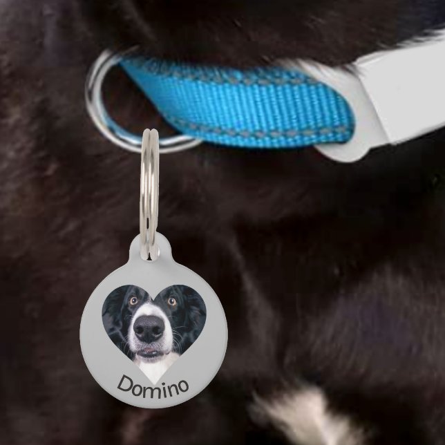 Pet Dog Cat Heart Photo past ID Lost aan Huisdierpenning (Creator heeft geüpload)