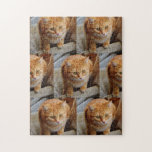 Pet Dog Cat Photo Fun Personaliseer Aangepast Legpuzzel<br><div class="desc">Dit ontwerp werd gecreeerd door digitale kunst. Het kan worden gepersonaliseerd door de aanpassingsknoop te klikken en de kleur te veranderen, een naam, initialen of uw favoriete woorden toe te voegen. Neem contact met me op colorflowcreations@gmail.com als je dit ontwerp op een ander product wilt gebruiken. Koop mijn oorspronkelijke abstracte...</div>
