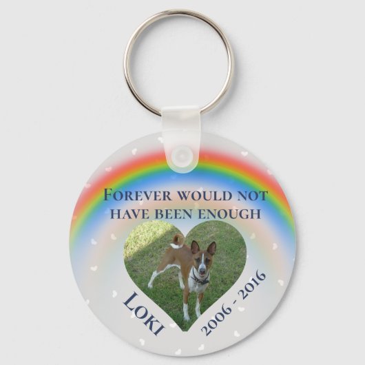 Pet Dog Cat Rainbow Bridge Foto Memorial Sleutelhanger (Voorkant)