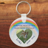 Pet Dog Cat Rainbow Bridge Foto Memorial Sleutelhanger (Voorkant)