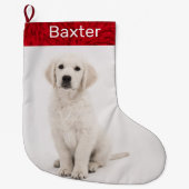 Pet Dog Foto Holiday Golden Retriever Grote Kerstsok (Voorkant)