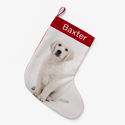 Pet Dog Foto Holiday Golden Retriever Kleine Kerstsok (Voorkant (Hangend))
