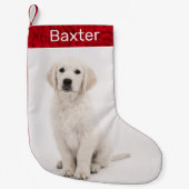 Pet Dog Foto Holiday Golden Retriever Kleine Kerstsok (Voorkant)