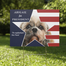 Pet Dog Foto Presidentiële Verkiezingen 2024 Kandi
