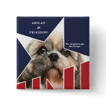 Pet Dog Foto Presidentiële Verkiezingen 2024 Kandi