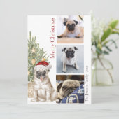 Pet Dog Foto van Cute Pug en Kerstmis Feestdagenkaart (Staand voorkant)