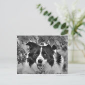 Pet Dog in een Leafy Wood Briefkaart (Staand voorkant)