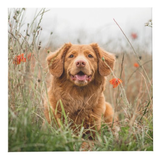 Pet Dog Memorial Foto Cube Kubus (Rechts)