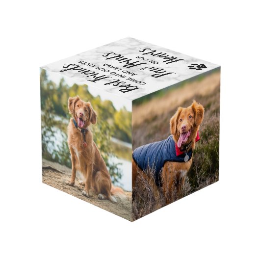Pet Dog Memorial Foto Cube Kubus (Achter hoekig)