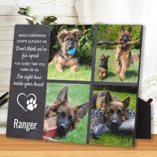 Pet Dog Memorial Gift- Dog Sympathie Pet Loss Foto Fotoplaat