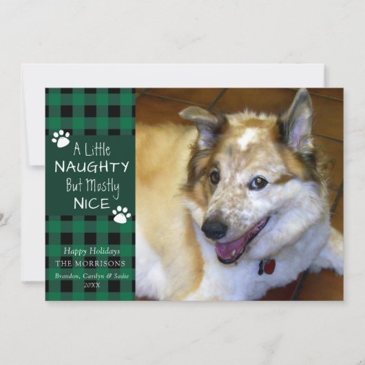 Pet Dog Naughty en Nice Green Black Pset Feestdagenkaart (Voorkant)